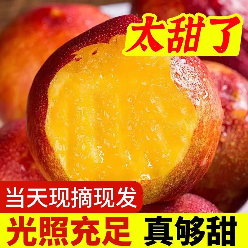 新鲜黄心油桃5斤现摘脆黄肉甜桃子应季新鲜水果甜脆桃子爆炸甜桃-图2