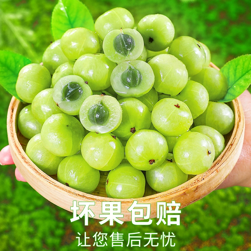 潮汕普宁崩坎甜油柑新鲜油甘果牛甘果余甘果滇橄榄甜种甜油甘包邮 - 图3