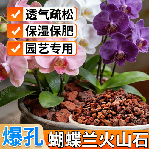 兰花专用火山石养花盆栽铺面鱼缸造景底部砂颗粒石头蝴蝶兰多肉 - 图0