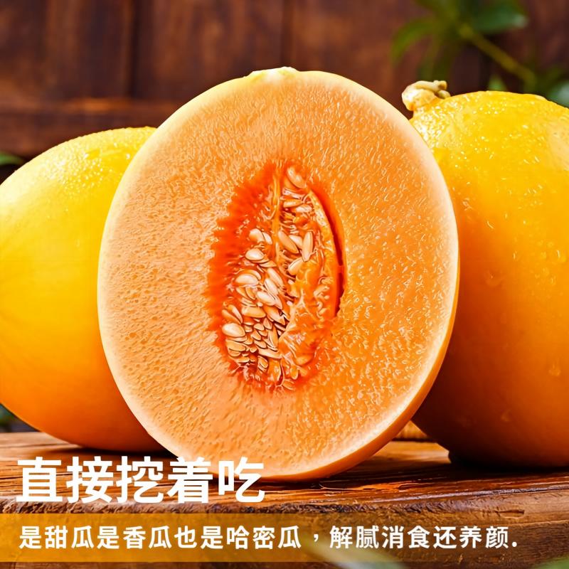 正宗甘肃民勤蜜瓜香瓜甜瓜新鲜黄河蜜瓜特产水果当季黄金产地直发 特 实拍商品图