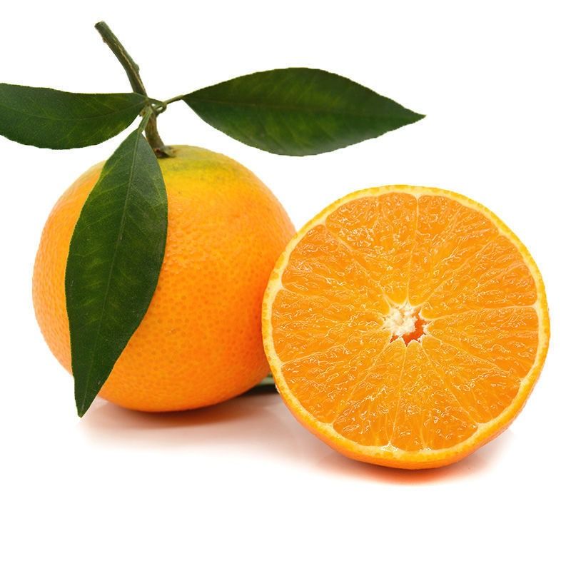 四川青见果冻橙10斤当季整箱新鲜桔子蜜橘孕妇水果包邮甜橙大果-图3