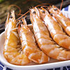Ecuadorian prawns separated fresh quick-frozen Penaeus vannamei fresh sea shrimp shrimp seafood aquatic products