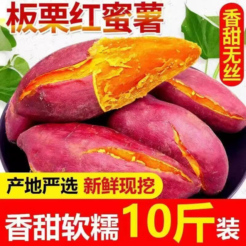 沙土地蜜薯10斤新鲜红薯农家自种红薯黄心超甜地瓜番薯黄心板栗薯 沙土地蜜薯10斤新鲜红薯农家自种红薯黄心超甜地瓜番薯黄心板栗薯