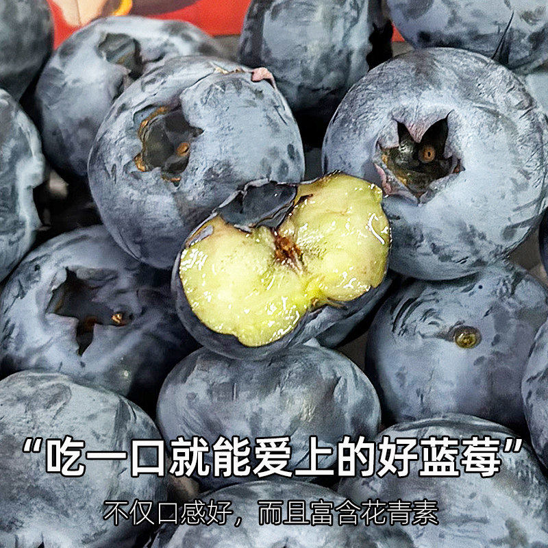 云南高山蓝莓新鲜水果当季L25花香蓝梅单盒150g鲜果现摘大果整箱,淘宝优惠券,粉丝福利购,淘宝优惠卷