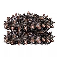 大连辽海参即食正品一斤装独立包装袋