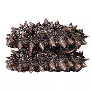 大连辽海参即食正品一斤装独立包装袋