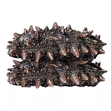 大连辽海参即食正品一斤装独立包装袋