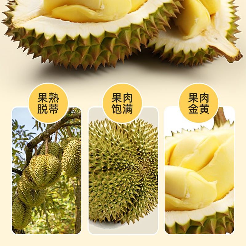 Tree-ripened frozen durian, imported fruit, cored and shellless, fresh and sweet, soft and waxy