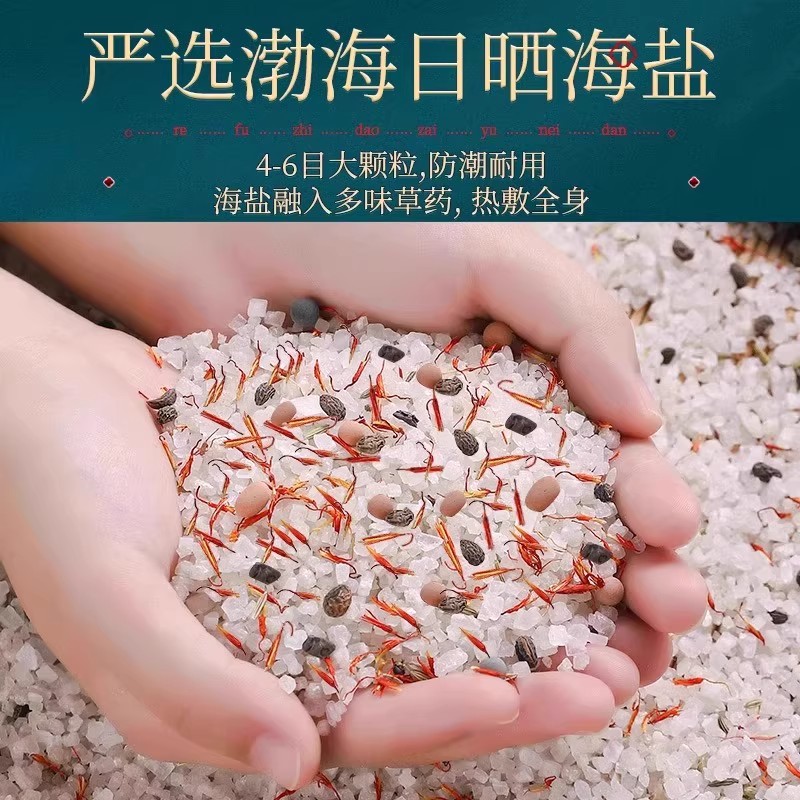 盐袋热敷包海盐药盐电加热腰部防护全身艾草灸肩颈热敷理疗袋家用 - 图1