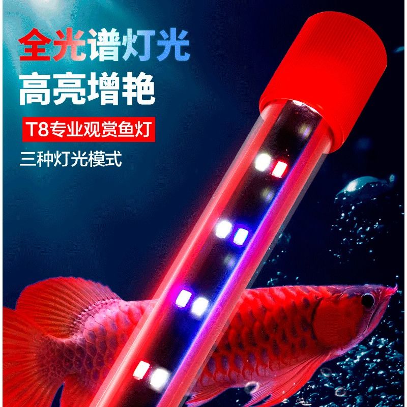 鱼缸灯照明灯led防水潜水灯专用水族箱led灯管节能龙鱼灯全光谱