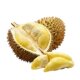 Thai Golden Pillow Durian with shell freshly picked durian pulp is soft and waxy and ripe on the old tree. The durian flesh is straight.