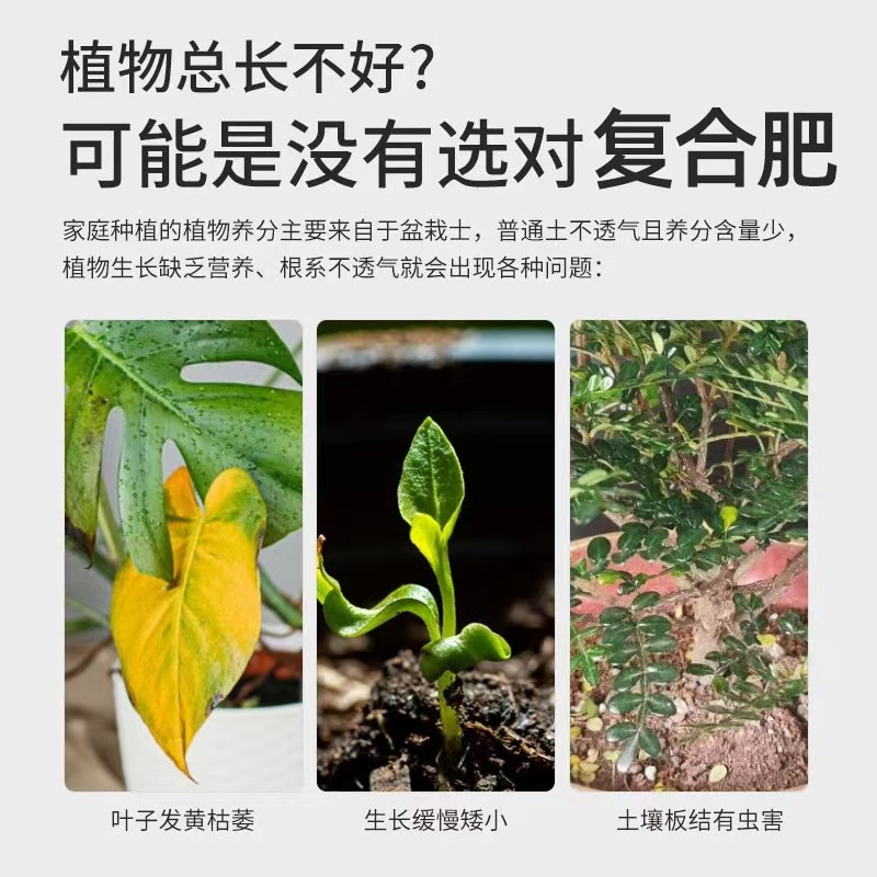 花肥料缓释肥复合肥家用通用型颗粒植物专用盆栽绿植花卉养花园艺 - 图1