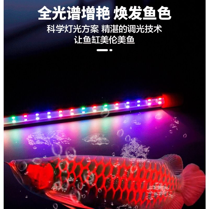 鱼缸灯led防水七彩全光谱增艳灯超亮led水族箱照明灯赏鱼灯灯光-图0