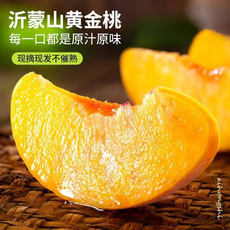 山东蒙阴黄桃黄金桃新鲜水果软硬两吃水蜜桃毛桃子鲜甜锦绣黄桃
