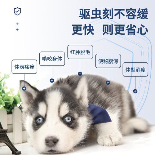 宠谊狗狗驱虫药体内外一体猫咪成幼犬去虱子幼虫非泼罗尼体外滴剂 - 图1