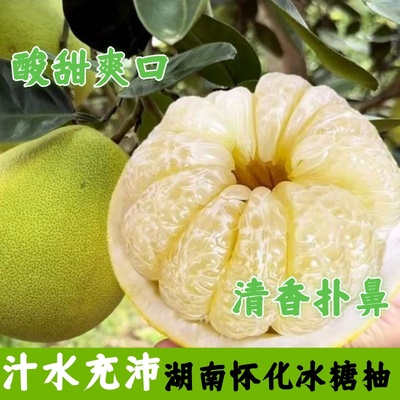 湖南正宗怀化冰糖柚小苦柚微苦回甘小苦柚产地直供精选好果雪峰柚