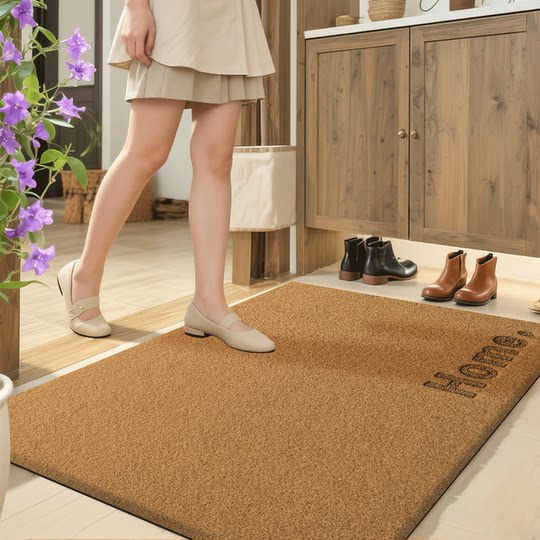 DILA entry door mat imitation coconut brown floor mat household door carpet dirt-resistant non-slip foot mat entry door mat no washing