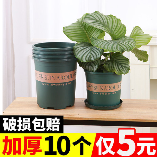 圆形塑料加厚款加仑盆控根透气防烂根花卉绿植盆栽多肉专用加仑盆 - 图3