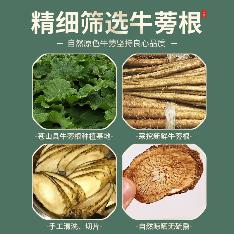 牛蒡根茶中药材原材料牛膀根片牛旁膀榜根野生新鲜官方旗舰店正品 - 图1