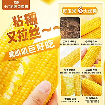十月稻田黄糯玉米【220g*8支】[30元优惠券]-寻折猪