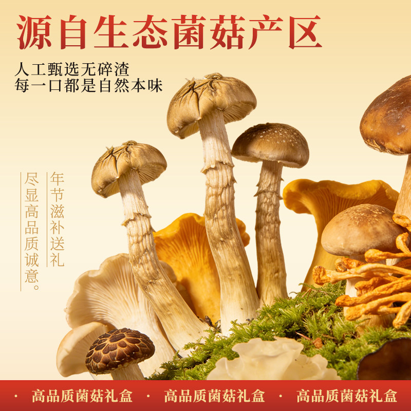 年货礼盒送礼云南土特产礼包山珍菌菇礼盒羊肚菌野生菌干货汤料包,淘宝优惠券,粉丝福利购,淘宝优惠卷