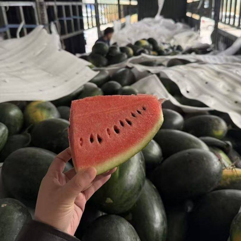 越南黑美人西瓜精品多汁新鲜水果沙瓤脆甜当季水果气柱保温箱防护,淘宝优惠券,粉丝福利购,淘宝优惠卷