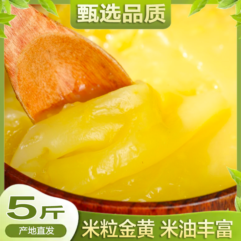 Shanxi yellow millet new rice glutinous millet farmer small yellow rice high quality millet yellow millet grains porridge coarse grains