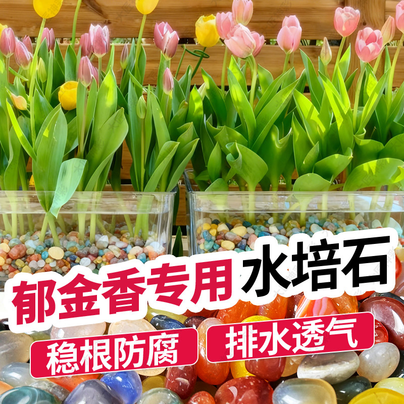 雨花石彩色玛瑙石鹅卵石鱼缸水培花盆造景装饰多肉铺面天然小石头,淘宝优惠券,粉丝福利购,淘宝优惠卷