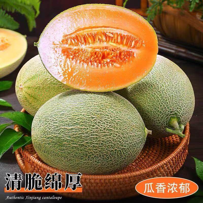 正宗哈密瓜脆甜多汁当季新鲜水果甜包邮现摘网纹瓜西州蜜孕妇可食