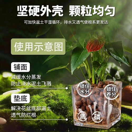 陶粒垫底养花专用多肉营养土花盆花卉回填鱼缸水培铺面火山石颗粒 - 图1