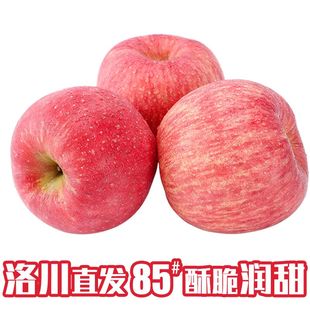 正宗红富士苹果带箱5斤