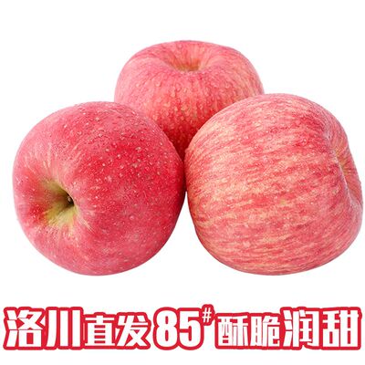 新鲜苹果红富士冰糖心苹果孕妇