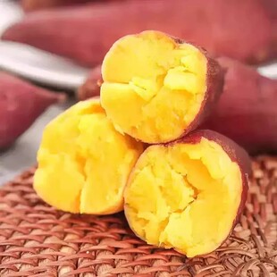 现挖红薯蜜薯4.5斤中大果