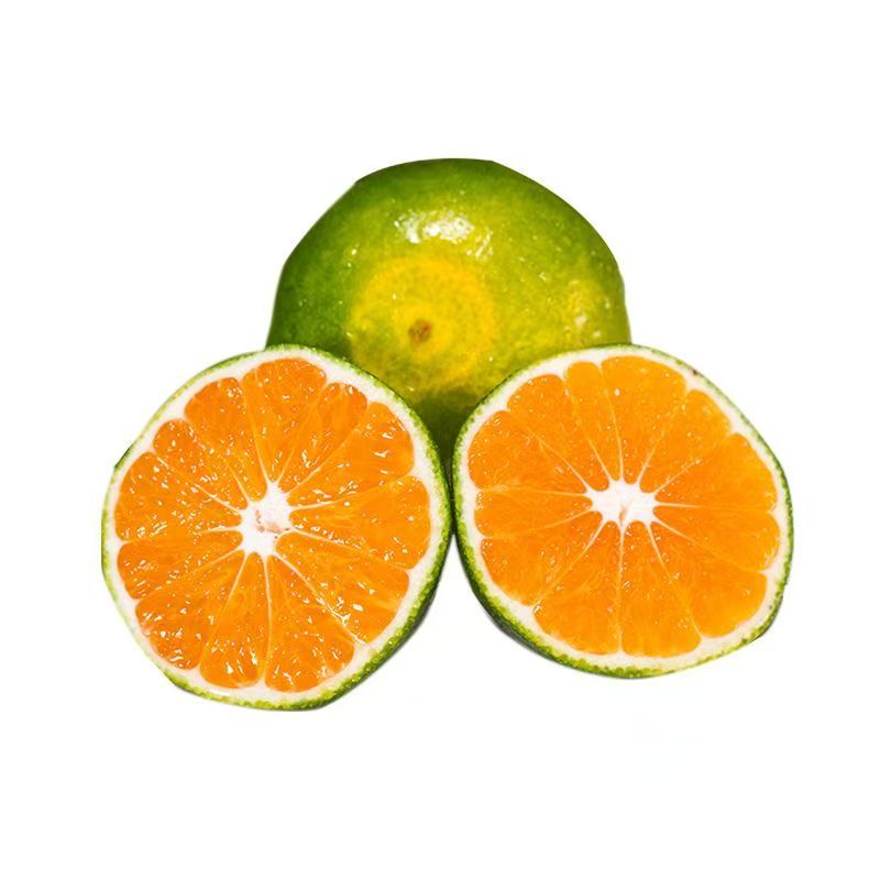 蜜桔子薄皮多汁无籽青皮蜜橘新鲜橘子薄皮现摘柑橘桔子应季水果