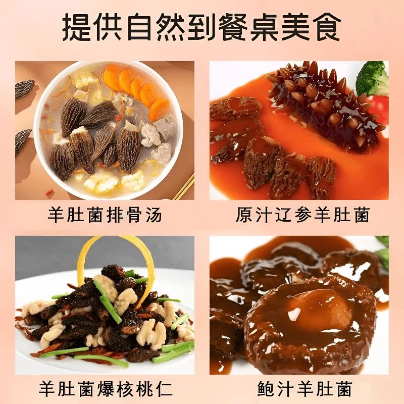 【果官宣】高山羊肚菌新鲜食材精选深山干货菌菇煲汤批发食材 【果官宣】高山羊肚菌新鲜食材精选深山干货菌菇煲汤批发食材
