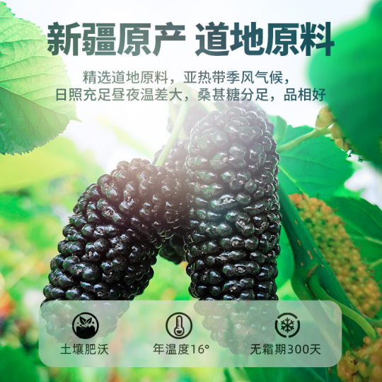 新货桑葚干新疆特产黑桑椹干果500g无沙泡水泡茶泡酒枸杞茶大颗粒