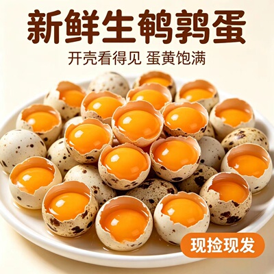 农家散养生鲜鹌鹑蛋正宗农家散养卤味炒菜火锅红烧无激素煲汤