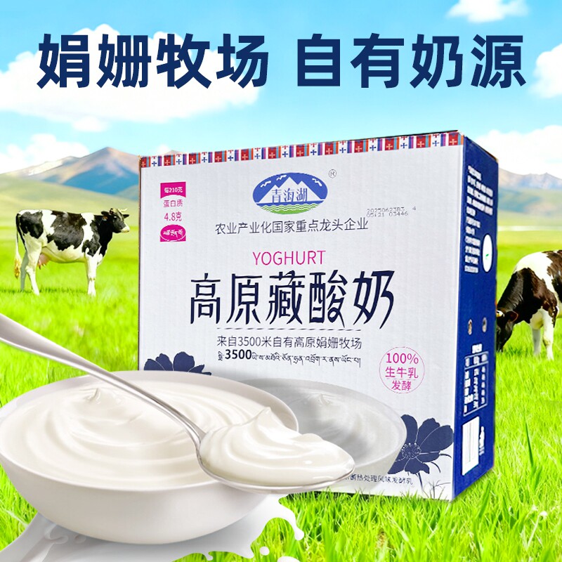 青海湖高原藏酸奶210g*10盒整箱娟姗牧场自有奶源