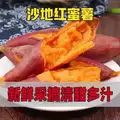 新鲜沙地蜜薯红薯番薯黄心香甜糖心地瓜山芋沙地软糯香甜现挖速发 图片 5