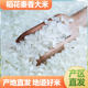 Authentic Northeast rice, fresh fragrant rice, fragrant rice, tribute rice 10 Jin Jin equals 0.5 kilograms, seasonal new rice 20 Jin Jin equals 0.5 kilograms, new year's goods