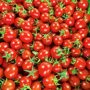 ����5��ǧ��ʥŮ����ѡ