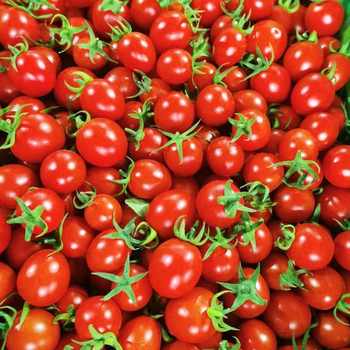 带箱5斤千禧圣女果优选券后3.7元包邮