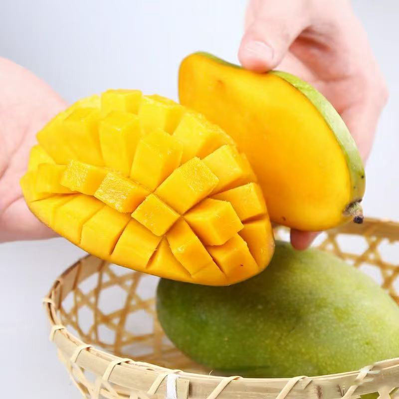 正宗精选玉芒新鲜孕妇整箱水果皮应季当季批发芒果越南玉芒