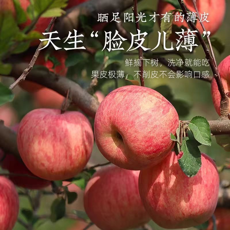 苹果新鲜水果应当季一整箱脆甜包邮条红富士特大冰糖心丑平安苹果,淘宝优惠券,粉丝福利购,淘宝优惠卷