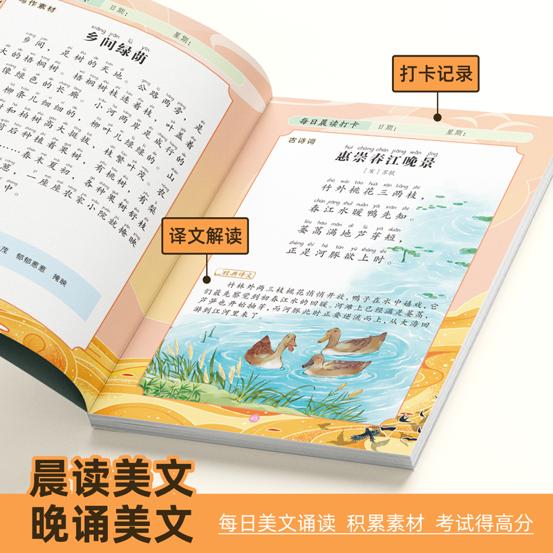 每日晨读扩句法五感法写作文一看就会加词法修辞法写作文写作技巧方法素材积累书全套三到六四至五二年级上下册小学生语文作文训练 - 图3