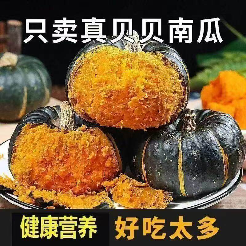 正宗贝贝南瓜板栗味婴儿辅食老南瓜粉糯香甜进口板栗贝贝南瓜种源