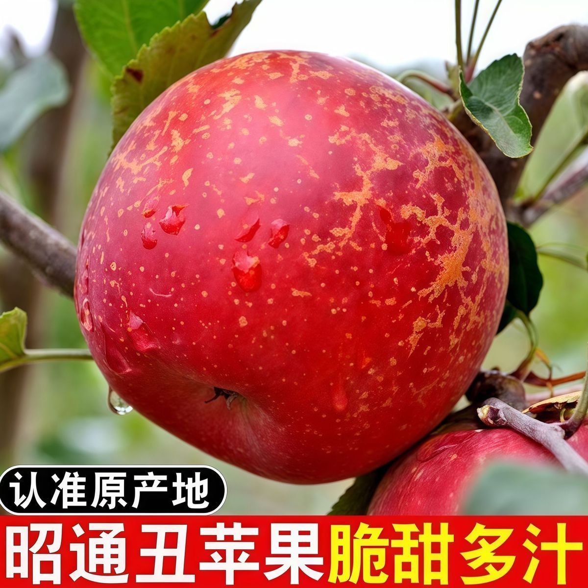 图 3