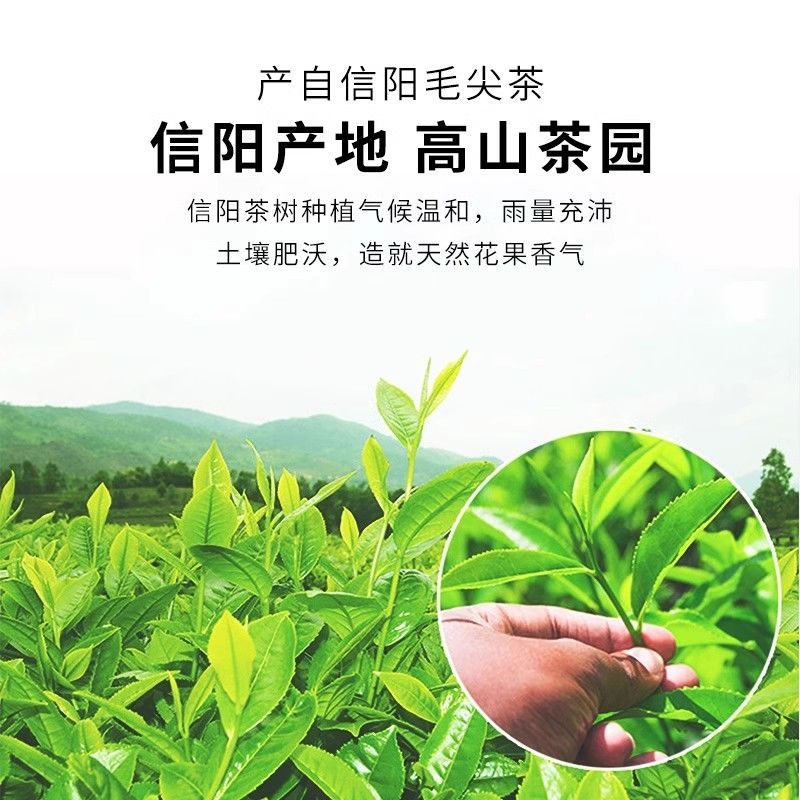 双碑信阳毛尖绿茶2024新茶雨前高山嫩芽浓香型春茶叶袋装100g原产 - 图0