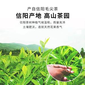 双碑信阳毛尖绿茶2024新茶雨前高山嫩芽浓香型春茶叶袋装100g原产