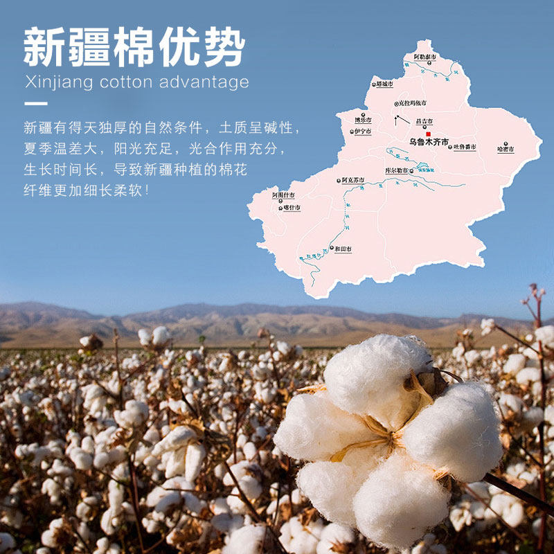 新疆棉花被子秋冬季加厚保暖冬被春秋被芯宿舍单人棉被褥四季通用,淘宝优惠券,粉丝福利购,淘宝优惠卷